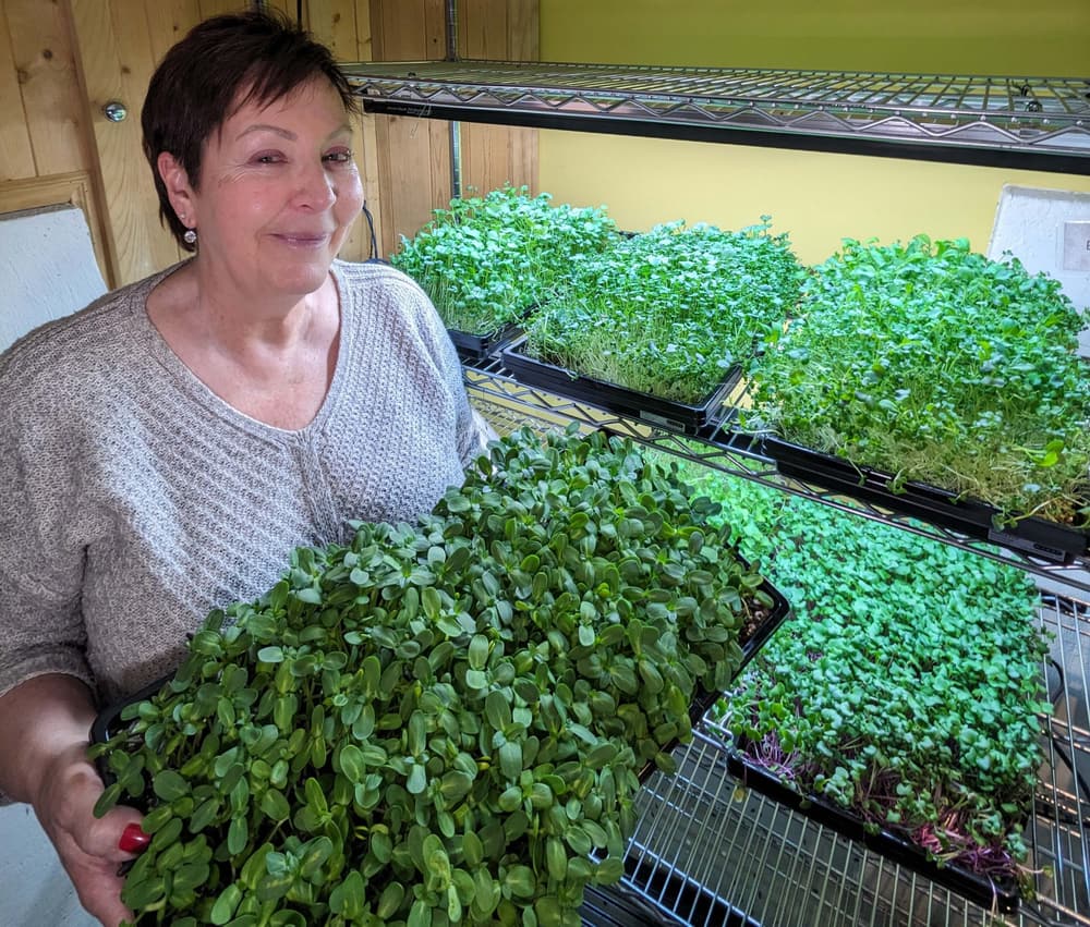 Barb holding a tray of sunflower microgreens