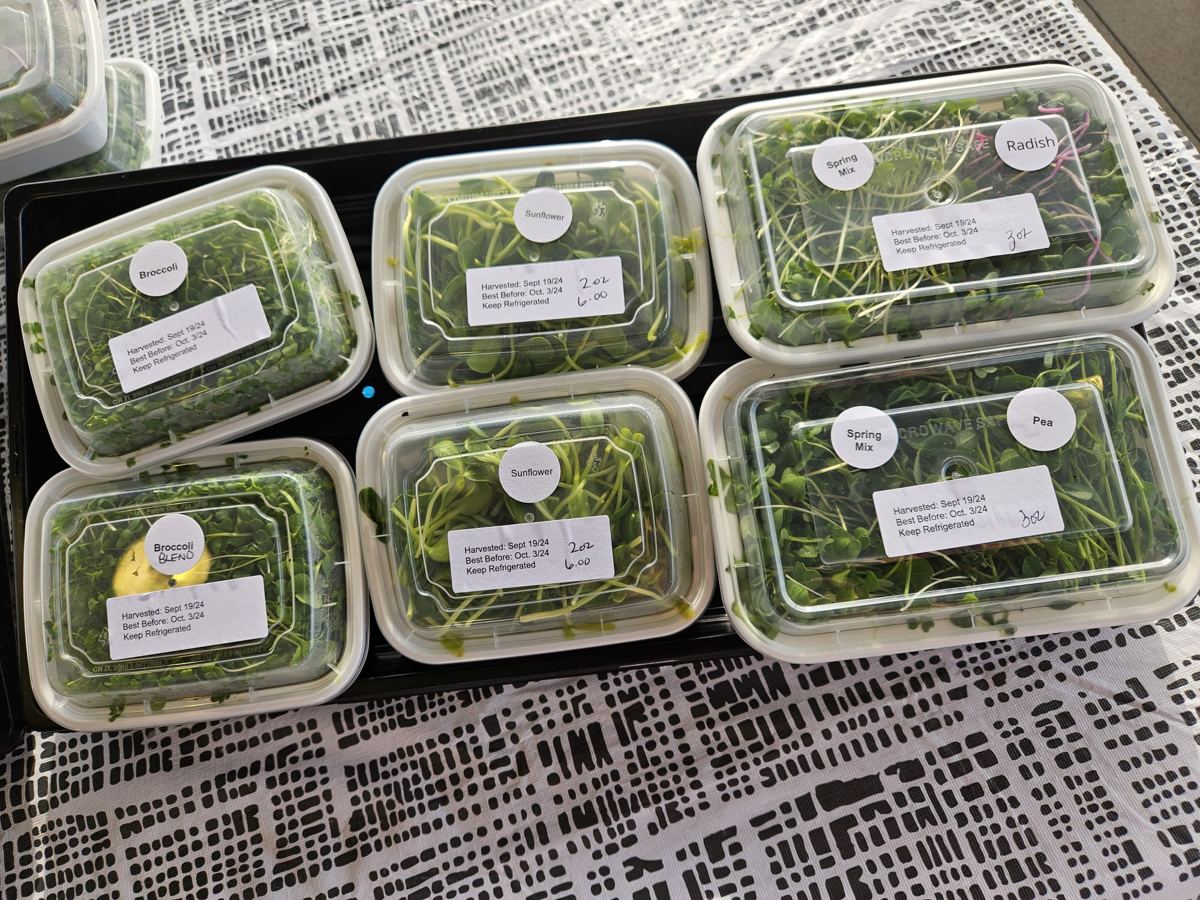 Boxes of Sunflower, Radish, Spring Mix, Broccoli, Broccoli Blend and Pea microgreens, labelled and ready for pickup